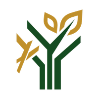 Tampa Tree Service